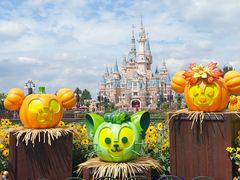 -上海迪士尼度假区