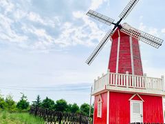 -羊亭河湿地公园