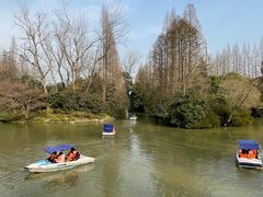 -上海滨江森林公园