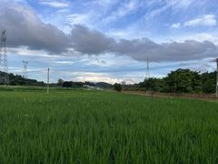 -叶挺将军纪念园