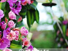 -西郊壹号