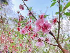 -广州市白云山风景名胜区