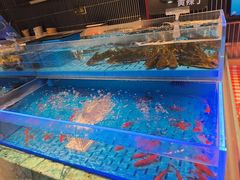 -海底捞火锅(长宁路龙之梦店)