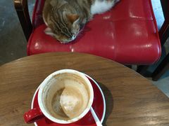 焦糖海盐摩卡-咖法森林·咖啡  酒吧(天河店)