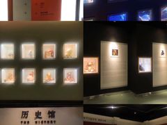 -成都泰迪熊博物馆