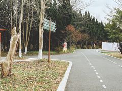 -东平国家森林公园