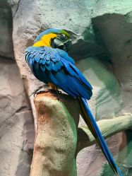 -Zoolung Zoolung动物主题公园(海信广场店)