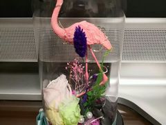 -黄浦区瑞金二路社区文化活动中心