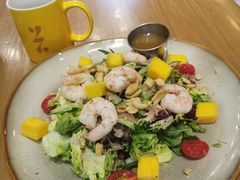 -HELLO 27 意面·沙拉·帕尼尼