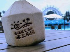 -汕头中海黄金海岸水上乐园