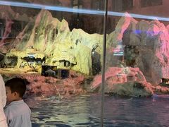 -帝企鹅自助餐厅•儿童岛•真企鹅(长隆企鹅酒店)