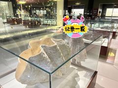 -青岛贝壳博物馆