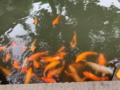 -豫园