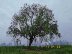 -毛氏汽水包(山海关路店)