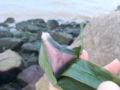 -野狸岛