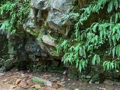 -五女峰国家森林公园