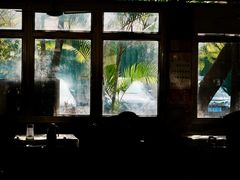 -百利鸽王(紫薇路店)