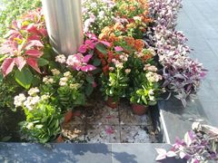 -万卉源鲜花店(百尚生活广场店)