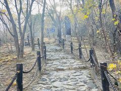 -北京鹫峰国家森林公园