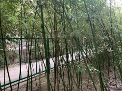-北京英煌医疗美容