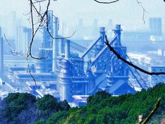 -杭州半山国家森林公园