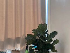 -八号公馆·老上海SPA(深圳北站店)