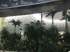 -青岛海泉湾度假区温泉