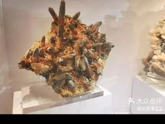 -中华赏石园