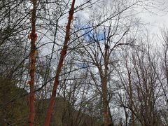 -叠溪松坪沟景区