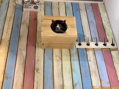 -小时光咖啡馆(开森度假森林店)