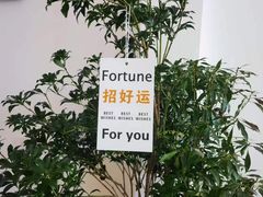 -TAOHUA夲夻咖啡馆