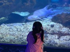 -海合安武汉极地海洋公园