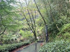 -藏龙百瀑风景区