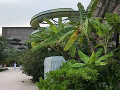 -亚马逊丛林水乐园