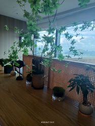 -禧月荟S月子中心(侨城店)