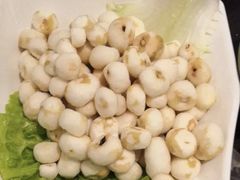马蹄-百年果林椰子鸡(中洲店)