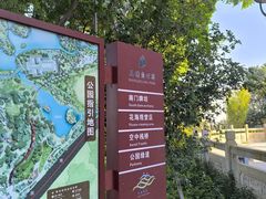 -王借岗森林公园