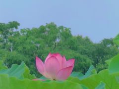 -嘉北郊野公园