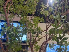-Pekaa啤咖食肆Coffee&Bistro
