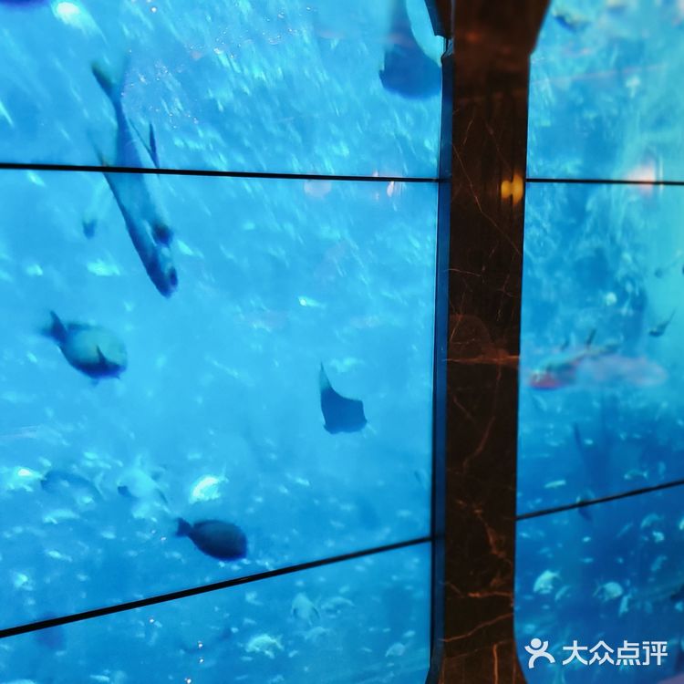 超赞避风塘炒蟹｜一秒穿到澳门