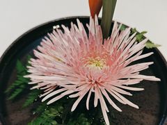 -潇湘府•湘菜领军品牌(望京店)