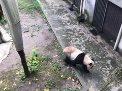 -重庆动物园·东二门售票处