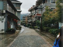 -龙坞茶村