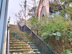 -大塘金香草谷