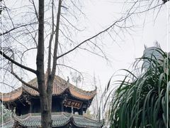 -青羊宫