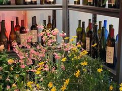 -Blue Concept Cafe&Farm·關於藍