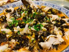 -老淳安—伴山伴湖(千岛湖开元度假村店)