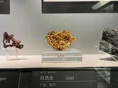 -中国地质博物馆
