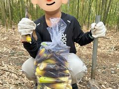 -同里国家湿地公园