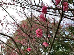 -南京市江宁方山